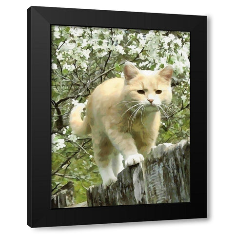 Curious Cat II Black Modern Wood Framed Art Print by Medeiros, Celito