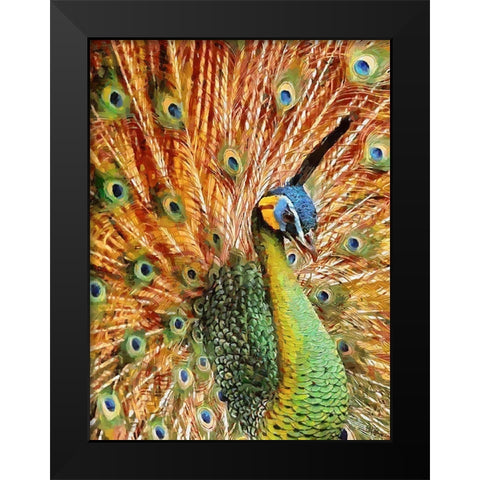 Beautiful Peacock Black Modern Wood Framed Art Print by Medeiros, Celito