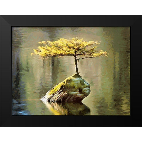 Smal Tree on a Rock in the Lake Black Modern Wood Framed Art Print by Medeiros, Celito