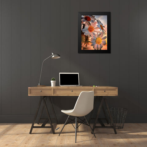 Daisies with the Sun Black Modern Wood Framed Art Print by Medeiros, Celito