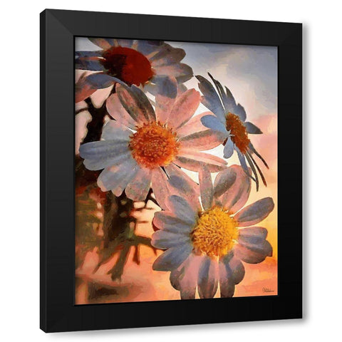 Daisies with the Sun Black Modern Wood Framed Art Print by Medeiros, Celito