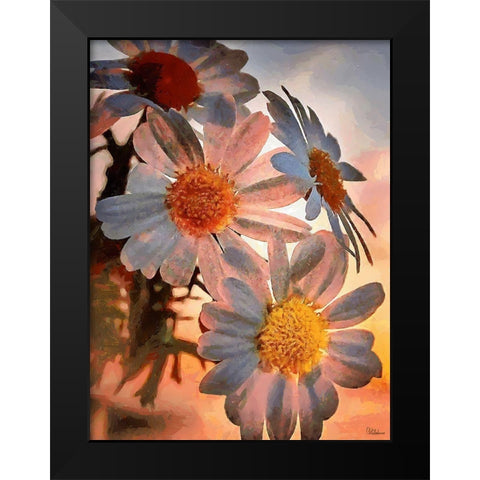 Daisies with the Sun Black Modern Wood Framed Art Print by Medeiros, Celito