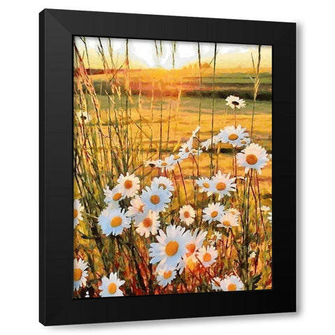 Daisies on the Meadow Black Modern Wood Framed Art Print by Medeiros, Celito