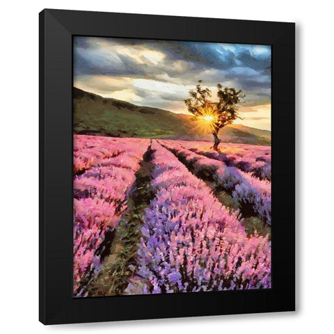 Lavender Field by Sunset Black Modern Wood Framed Art Print with Double Matting by Medeiros, Celito