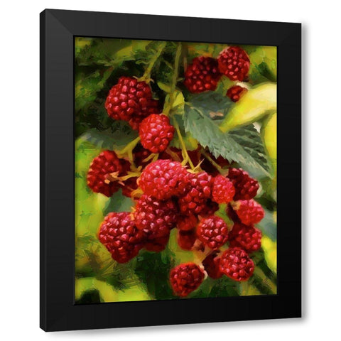Red Raspberries Black Modern Wood Framed Art Print by Medeiros, Celito