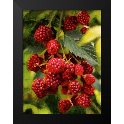 Red Raspberries Black Modern Wood Framed Art Print by Medeiros, Celito