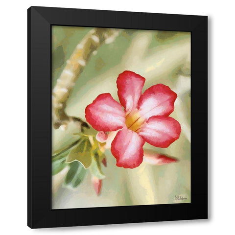 Orchids XXIV Black Modern Wood Framed Art Print with Double Matting by Medeiros, Celito