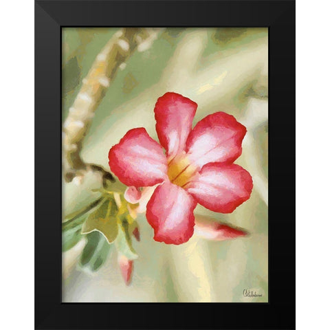 Orchids XXIV Black Modern Wood Framed Art Print by Medeiros, Celito