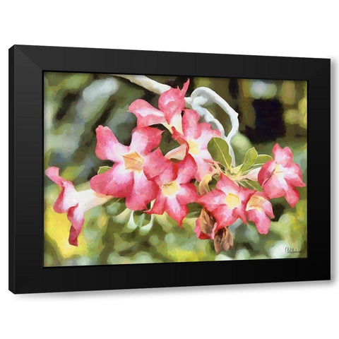 Orchids XXVI Black Modern Wood Framed Art Print with Double Matting by Medeiros, Celito