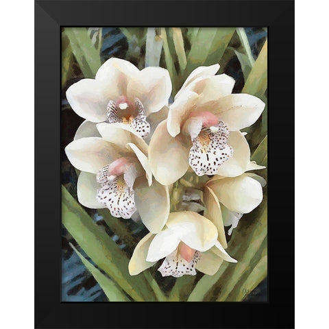 Orchids XXIX Black Modern Wood Framed Art Print by Medeiros, Celito