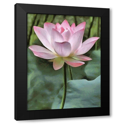 Watter Lilly II Black Modern Wood Framed Art Print by Medeiros, Celito