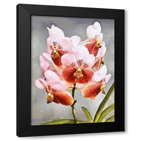 Orchids XXXI Black Modern Wood Framed Art Print by Medeiros, Celito