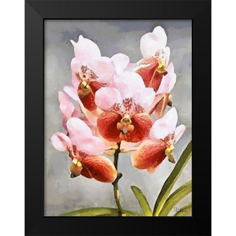 Orchids XXXI Black Modern Wood Framed Art Print by Medeiros, Celito