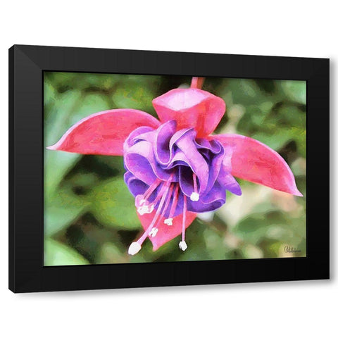 Orchids XXXII Black Modern Wood Framed Art Print with Double Matting by Medeiros, Celito