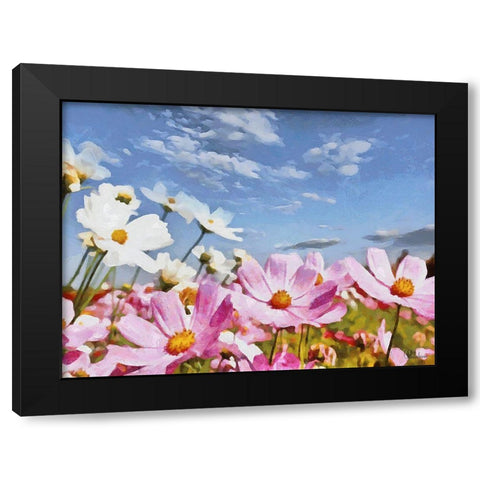 Field Flowers IV Black Modern Wood Framed Art Print by Medeiros, Celito