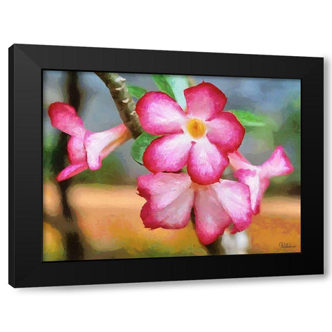 Orchids XXXIII Black Modern Wood Framed Art Print with Double Matting by Medeiros, Celito