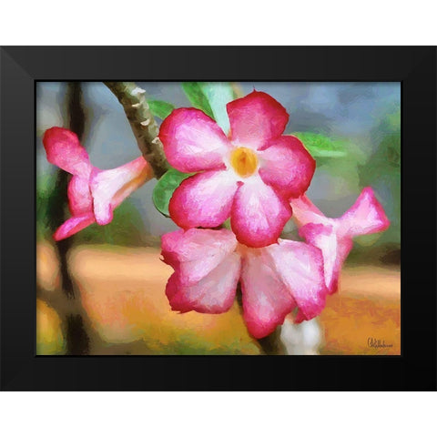 Orchids XXXIII Black Modern Wood Framed Art Print by Medeiros, Celito