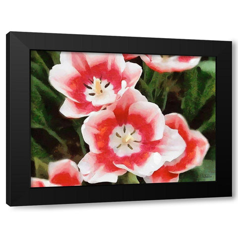 Orchids XXXV Black Modern Wood Framed Art Print by Medeiros, Celito