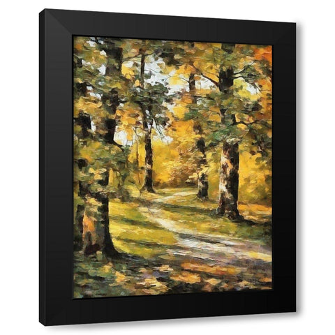 Way in Forest I Black Modern Wood Framed Art Print with Double Matting by Medeiros, Celito