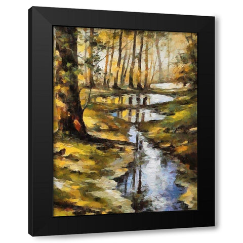 Small Stream in Forest Black Modern Wood Framed Art Print with Double Matting by Medeiros, Celito