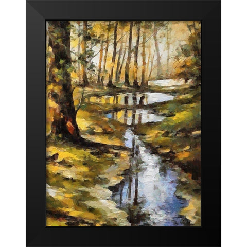 Small Stream in Forest Black Modern Wood Framed Art Print by Medeiros, Celito
