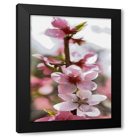 I like Flowers XVIII Black Modern Wood Framed Art Print with Double Matting by Medeiros, Celito