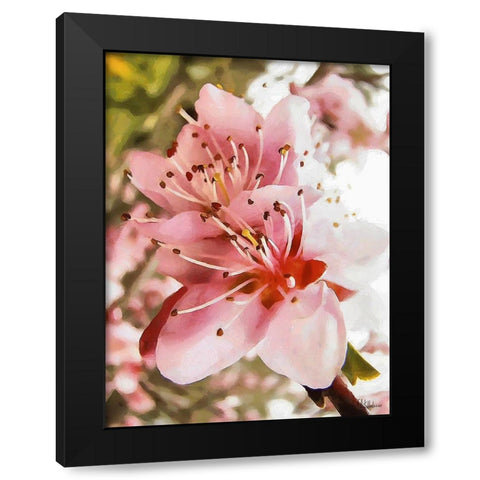 I like Flowers XX Black Modern Wood Framed Art Print with Double Matting by Medeiros, Celito
