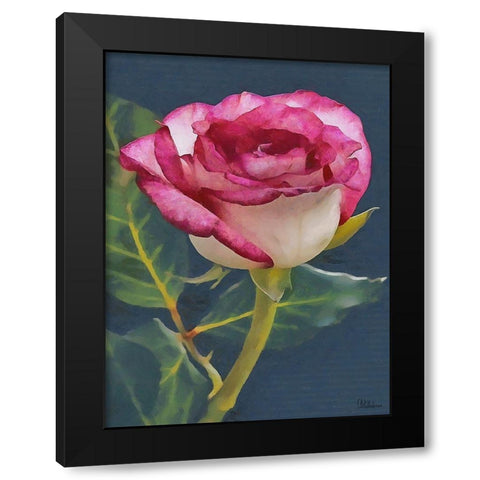 I like Flowers XXII Black Modern Wood Framed Art Print with Double Matting by Medeiros, Celito