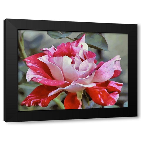 I like Flowers XXIV Black Modern Wood Framed Art Print by Medeiros, Celito