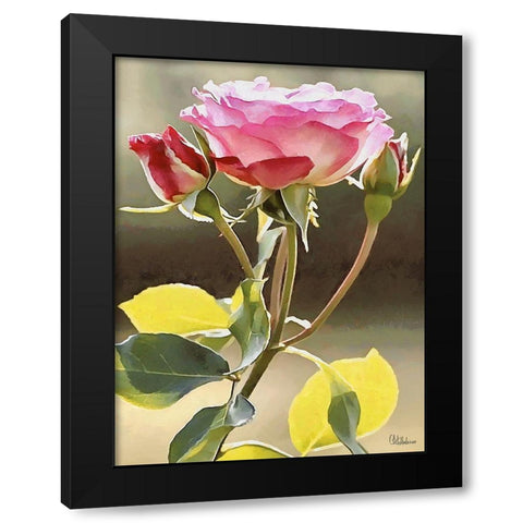 I like Flowers XXVII Black Modern Wood Framed Art Print with Double Matting by Medeiros, Celito