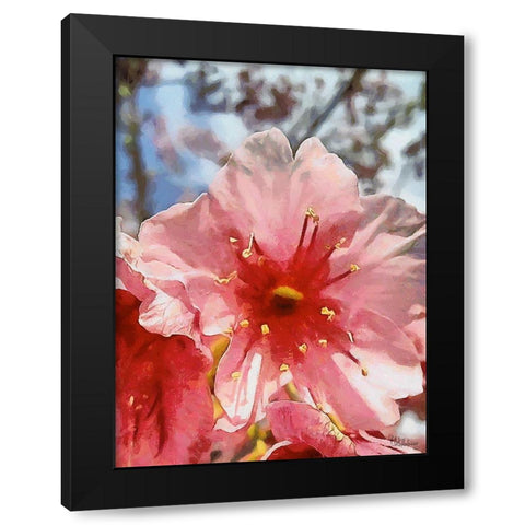 I like Flowers XXIX Black Modern Wood Framed Art Print with Double Matting by Medeiros, Celito