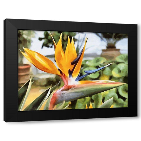 Yellow Orchid I Black Modern Wood Framed Art Print with Double Matting by Medeiros, Celito