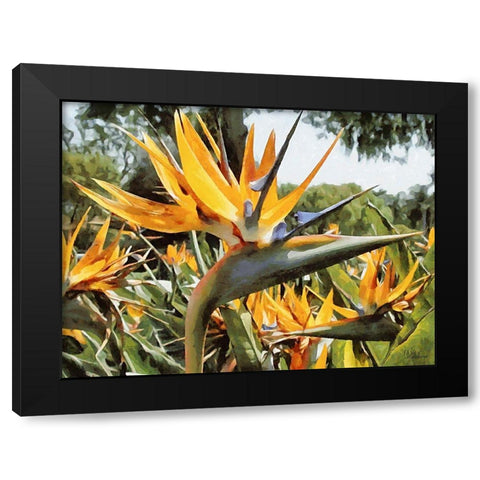 Yellow Orchid II Black Modern Wood Framed Art Print with Double Matting by Medeiros, Celito