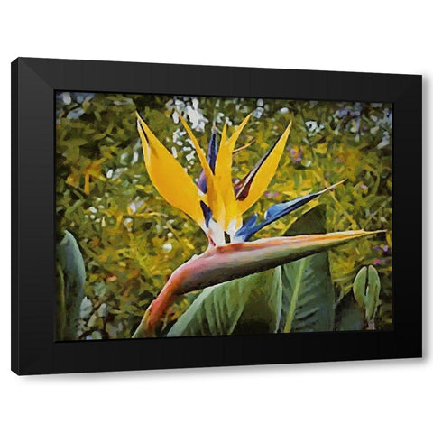 Yellow Orchid III Black Modern Wood Framed Art Print with Double Matting by Medeiros, Celito