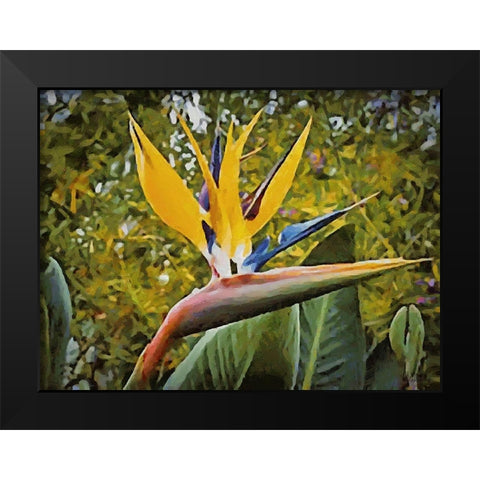 Yellow Orchid III Black Modern Wood Framed Art Print by Medeiros, Celito