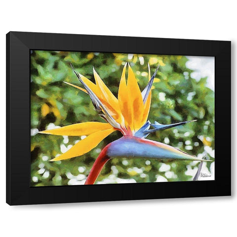 Yellow Orchid IV Black Modern Wood Framed Art Print by Medeiros, Celito
