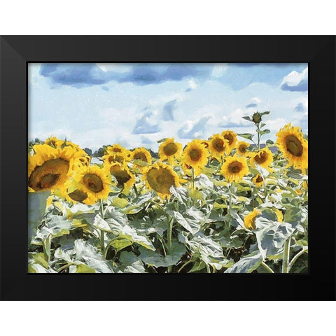 Many Sunflowers Black Modern Wood Framed Art Print by Medeiros, Celito