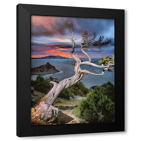 View Through Dry Tree Black Modern Wood Framed Art Print with Double Matting by Medeiros, Celito