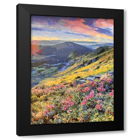 Flovers in the Mountains II Black Modern Wood Framed Art Print by Medeiros, Celito