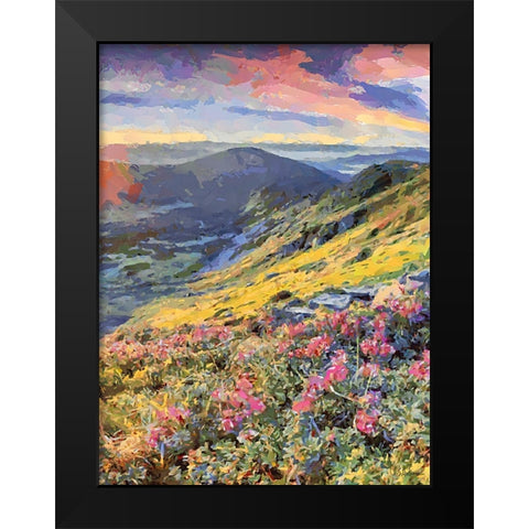 Flovers in the Mountains II Black Modern Wood Framed Art Print by Medeiros, Celito