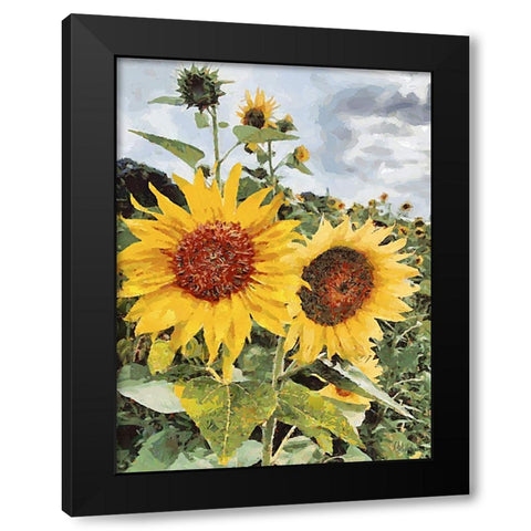 Sunflowers Collection I Black Modern Wood Framed Art Print by Medeiros, Celito