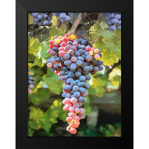 Grapes VI Black Modern Wood Framed Art Print by Medeiros, Celito