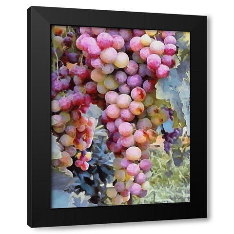 Grapes VII Black Modern Wood Framed Art Print with Double Matting by Medeiros, Celito