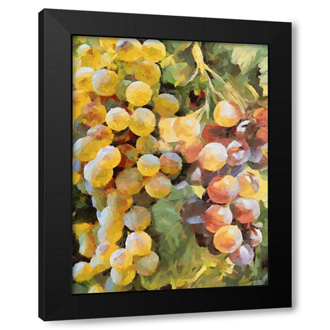 Grapes IX Black Modern Wood Framed Art Print with Double Matting by Medeiros, Celito