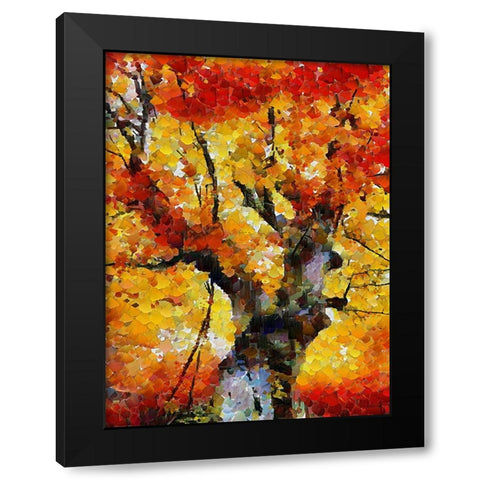 Collectio of Bloomin and Autumn Trees II Black Modern Wood Framed Art Print with Double Matting by Medeiros, Celito