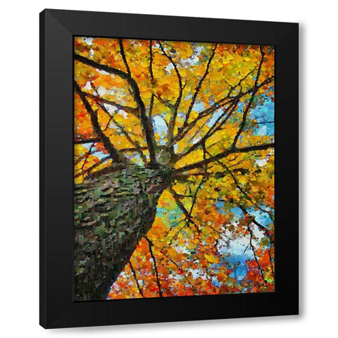 Collectio of Bloomin and Autumn Trees IV Black Modern Wood Framed Art Print by Medeiros, Celito