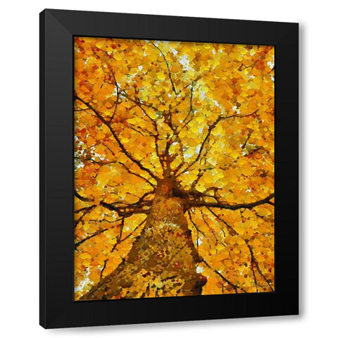 Collectio of Bloomin and Autumn Trees VII Black Modern Wood Framed Art Print with Double Matting by Medeiros, Celito