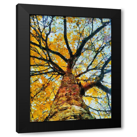 Collectio of Bloomin and Autumn Trees VIII Black Modern Wood Framed Art Print by Medeiros, Celito
