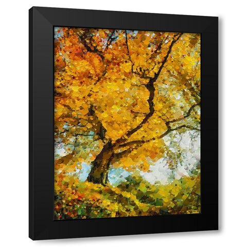 Collectio of Bloomin and Autumn Trees IX Black Modern Wood Framed Art Print with Double Matting by Medeiros, Celito