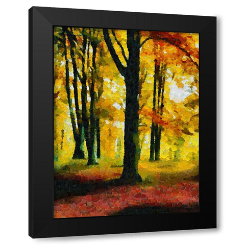 Collectio of Bloomin and Autumn Trees XXVI Black Modern Wood Framed Art Print by Medeiros, Celito